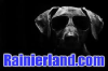 Rainierland.com logo