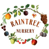 Raintreenursery.com logo