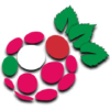 Raspberryitaly.com logo
