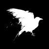 Ravencresttactical.com logo