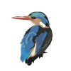 Realbird.com logo