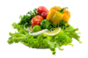 Receitasedietas.com logo