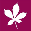 Redbridge.gov.uk logo