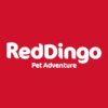 Reddingo.com logo
