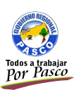 Regionpasco.gob.pe logo