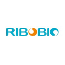 Ribobio.com logo