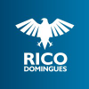 Ricodomingues.com.br logo