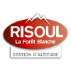 Risoul.com logo