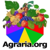 Rivistadiagraria.org logo