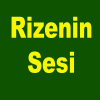 Rizeninsesi.net logo