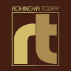 Rohingyablogger.com logo