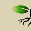 Rootschat.com logo