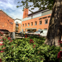 Slingshot Simulations