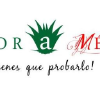 Saboramexico.com.mx logo