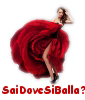 Saidovesiballa.com logo