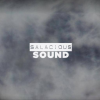 Salacioussound.com logo