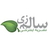 Salemzi.com logo