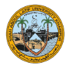 Salu.edu.pk logo