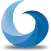 Sanalyer.com logo
