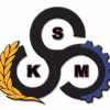 Sanatkaranco.com logo