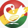 Sankofaonline.com logo