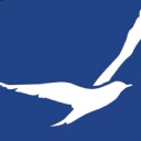 Sariyerposta.com logo