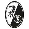 Scfreiburg.com logo