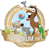 Schildkroetenforum.com logo