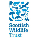 Scottishwildlifetrust.org.uk logo