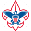 Scoutingwire.org logo
