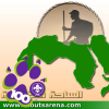 Scoutsarena.com logo