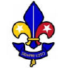 Scoutsvenezuela.org.ve logo