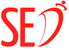 Sed.edu.pk logo