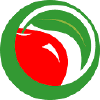 Seis.org logo