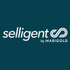 Selligent.com logo