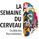 Semaineducerveau.fr logo