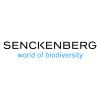 Senckenberg.de logo
