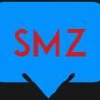 Seomotionz.com logo