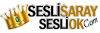 Seslisaray.com logo