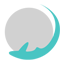 Sfari.com logo