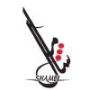 Shameltech.com logo