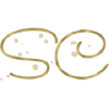 Sherlynchopra.com logo