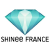 Shineefrance.net logo