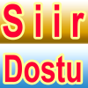 Siirdostu.com logo