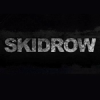 Skidrowreloadedgames.net logo