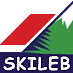 Skileb.com logo