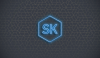 Skintertainment.com logo