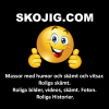 Skojig.com logo