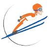 Skokinarciarskie.pl logo