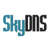 Skydns.ru logo